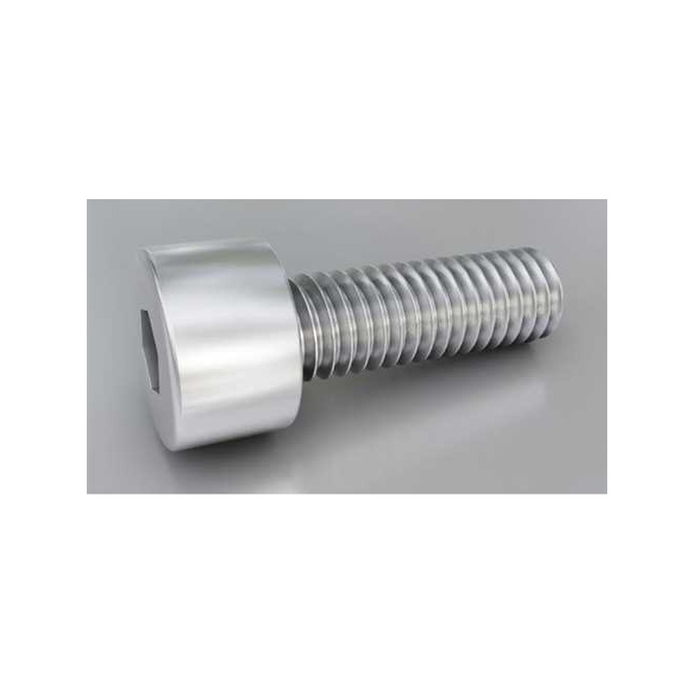 SnapmakArtisan-M5*12 Hexagon Low Round Head Screw